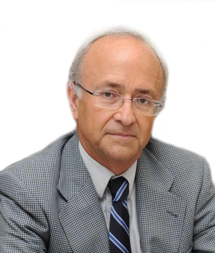 D. Vicente Magro Servet