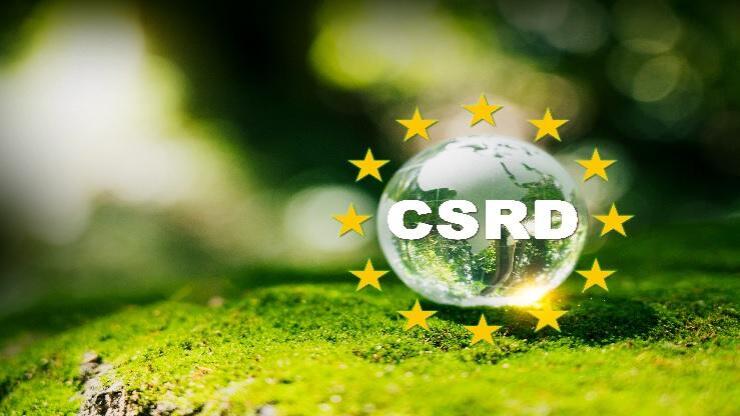 Curso Reporting de sostenibilidad CSRD 2024 (Ciclo de 3 webinars)